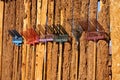 Old rakes on the wooden wall