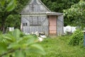 Old ramshackle cottage on a summer day. Royalty Free Stock Photo