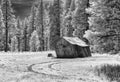 Old ranch outbuilding, pastoral scenery, infrared