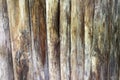 Old real wood wall Texture background closeup Royalty Free Stock Photo