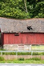 Old red barn with a collapsed roof.. Royalty Free Stock Photo