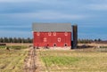 An old red barn with a grazing horse Royalty Free Stock Photo
