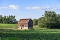 Old red barn on green farmers field Royalty Free Stock Photo