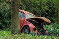 Old red beetle car in the Keukenhof in 2022 in the Netherlands