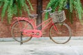 Old red bicycle and brick wall with leaf fern. Royalty Free Stock Photo