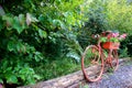 Old red bike with flowers