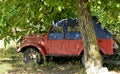 Old red blue car in shade of tree Royalty Free Stock Photo