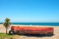 Old red boat and small palm tree on sandy beach with blue sky and sea background Royalty Free Stock Photo