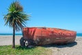 Old red boat and small palm tree on sandy beach with blue sky and sea background Royalty Free Stock Photo