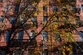 Old Red Brick Apartment Building Exterior with Fire Escapes and Colorful Trees during Autumn in Nolita of New York City Royalty Free Stock Photo