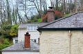 Old red brick chimney stacks on slate roofed buildings, with plants and trees in the background