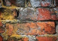 Old red brick masonry covered with yellow and white lichen Royalty Free Stock Photo