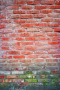 Old red brick wall backgrounds with spot of lichen or moss Royalty Free Stock Photo