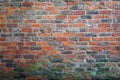 Old red brick wall with green fungus on the bottom