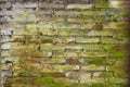 The old red brick wall with green moss is a block texture background for design and decoration. can be used as background and Royalty Free Stock Photo