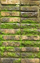 Old red brick wall grown with grass and moss Royalty Free Stock Photo