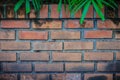 Old red brick wall with natural green leaves frame. Green palm l Royalty Free Stock Photo
