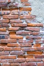 Old red brick wall texture and green leaf hanging down on it at the edge. Copy space background. Royalty Free Stock Photo