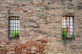 Old red brick wall with two rusted iron grill windows Royalty Free Stock Photo