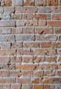 Old red brick wall. Vertical background, loft interior Royalty Free Stock Photo
