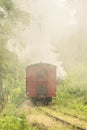Old red caboose train in misty forest track.. Royalty Free Stock Photo