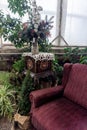 An old red chair in a greenhouse surrounded by green plants.