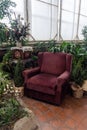 An old red chair stands surrounded by green plants.