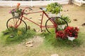 Old red classic vintage retro bicycle exterior decoration furniture of garden outdoor and flowers for travelers travel visit rest Royalty Free Stock Photo