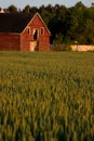 Old red country barn Royalty Free Stock Photo