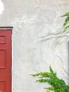 Old red door with ivy on the wall Royalty Free Stock Photo