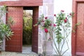 Old red doors with wrought iron details and colorful rose plant Royalty Free Stock Photo