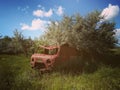 An old red farm truck is slowly rusting away on a farm. Time-forgotten cars far away from all. Royalty Free Stock Photo