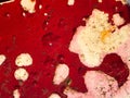 Old red fibre glass boat texture background, Close up and macro shot Royalty Free Stock Photo