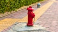 Old red fire hydrant with street background. Royalty Free Stock Photo