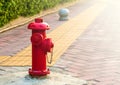 Old red fire hydrant with street background Royalty Free Stock Photo