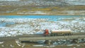 Old red freight truck crosses a large plain in Tibet full of small streams.