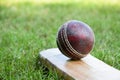 An old red leather cricket ball on bat Royalty Free Stock Photo