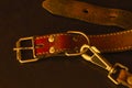 Old red leather dog collar with a leash