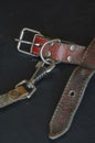 Old red leather dog collar with a leash