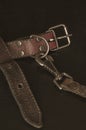 Old red leather dog collar with a leash