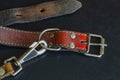 Old red leather dog collar with a leash