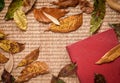 Old red notebook with fallen leaves on bamboo mat background. Royalty Free Stock Photo