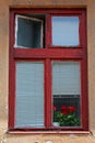 Old, red painted window frame and red geraniums.