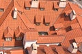 Old red roofs with dormers Royalty Free Stock Photo