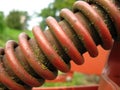 Rusty coiled spring