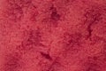 Old red sponge textured background. Foam rubber background Royalty Free Stock Photo