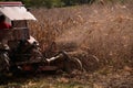 an old red tractor chopping corn in the field. mechanized agriculture in the village. maize cutter