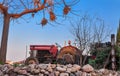 Old red tractor standing under dry tree on the farm.