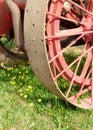 Detail of an old red tractor wheel and yellow flowers Royalty Free Stock Photo