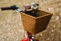 Old red vintage bicycle basket Royalty Free Stock Photo